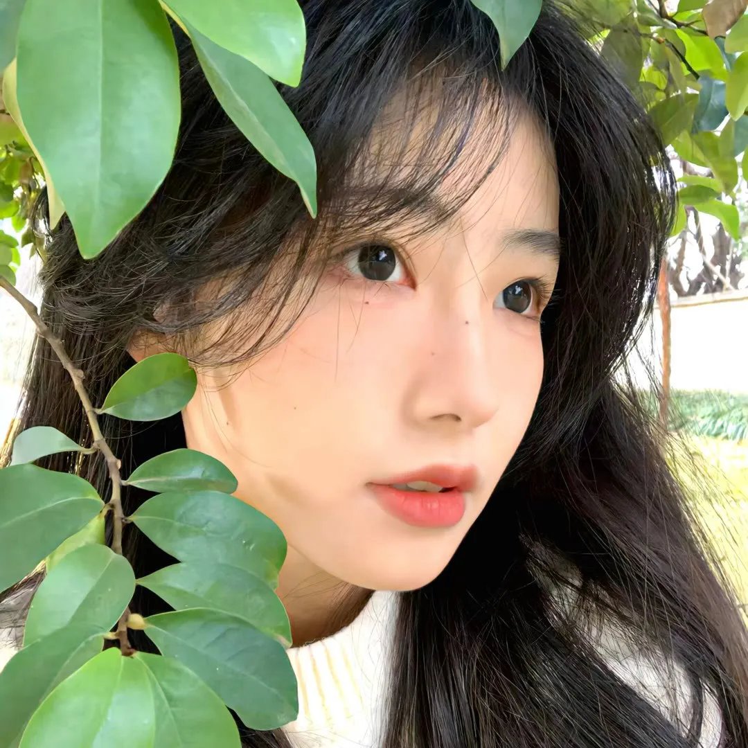 女王的哥基