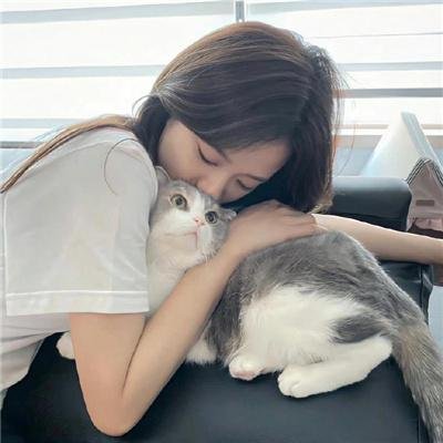 巴黎的同志